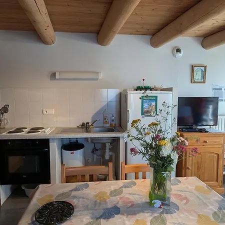 Indépendant 4 Pers. à Avec Cour, Proche Gorges De L'allier, Parking Privé, Animations. - Fr-1-582-193