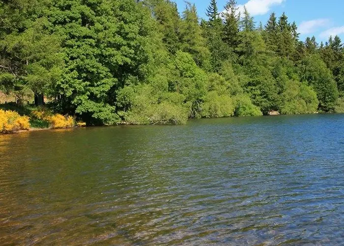 Independant 4 Pers. A Avec Cour, Proche Gorges De L'allier, Parking Prive, Animations. - Fr-1-582-193 Prázdninový dům *