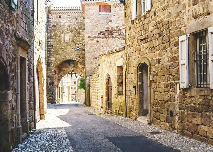 Prázdninový dům Independant 4 Pers. A Avec Cour, Proche Gorges De L'allier, Parking Prive, Animations. - Fr-1-582-193 *